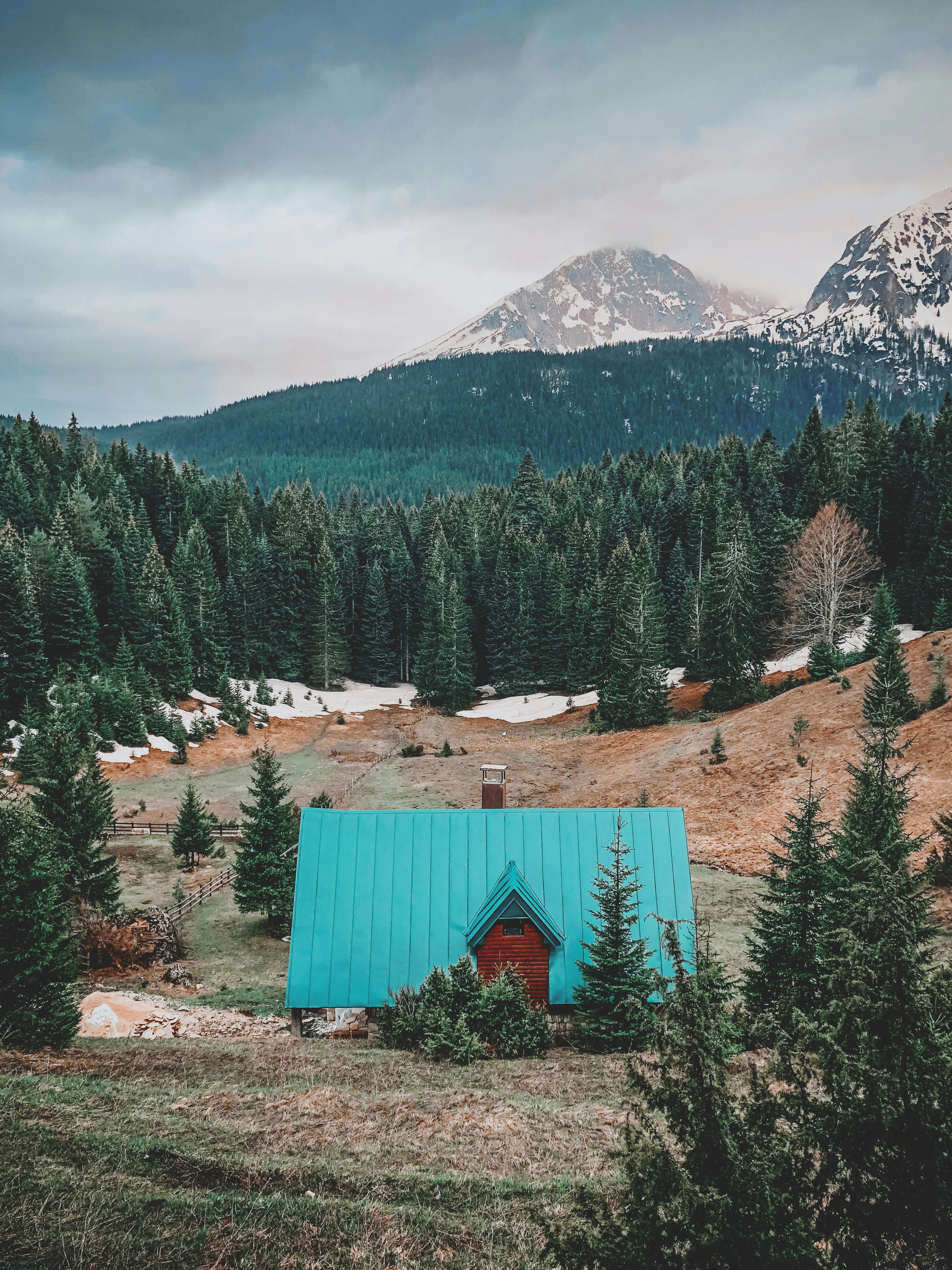 teal roof house surrounded by pine trees